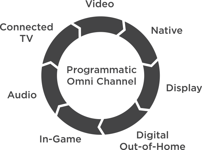 Digital Campaign Development 